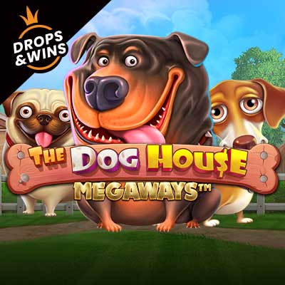 The Dog House Megaways slot